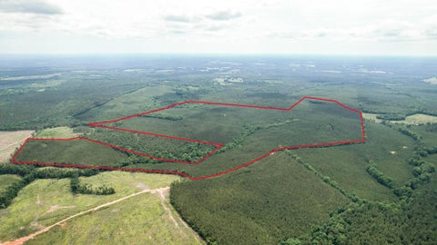 Photo of Tbd Pineywood Road #Tbd, Saluda, SC 29138 (MLS # 223821)