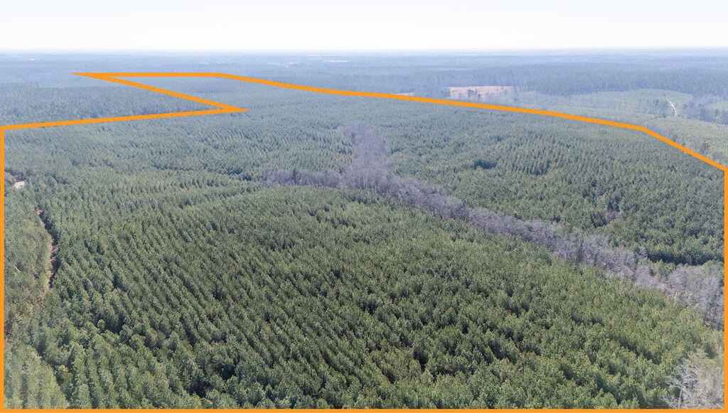 Piney Wood Pineywood Road