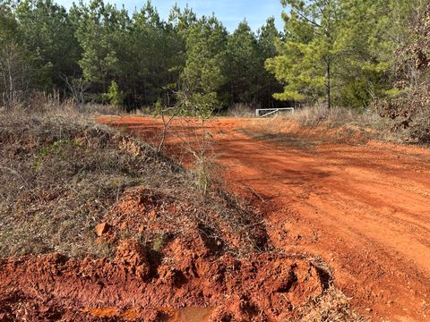 Photo of Piney Wood Pineywood Road, Saluda, SC 29138 (MLS # 221489)