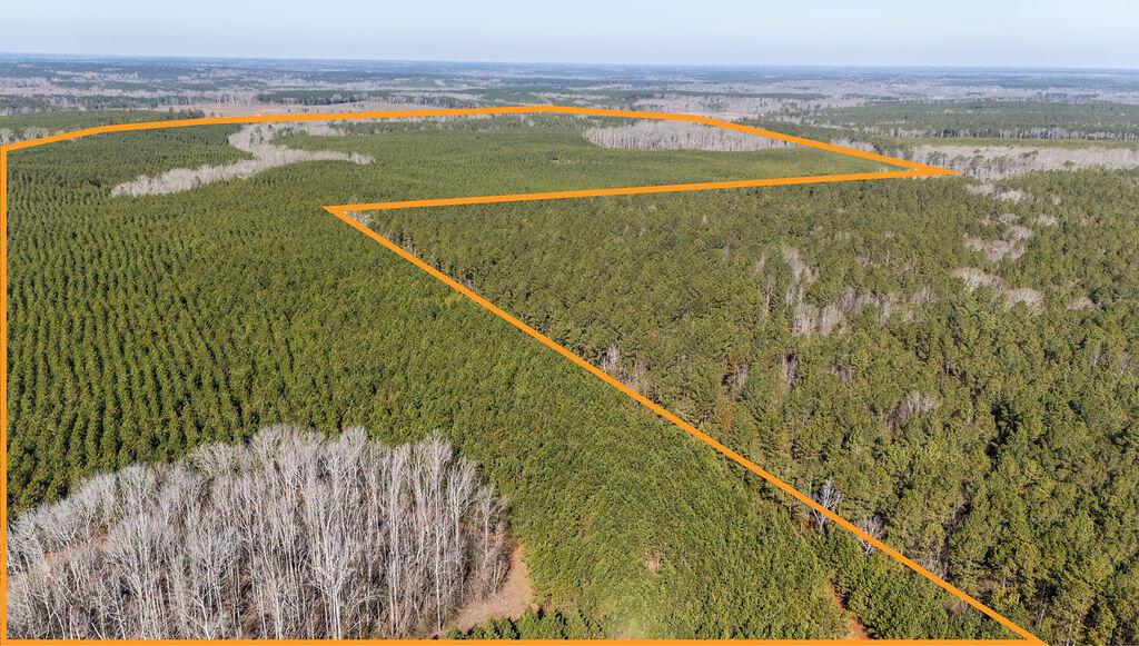 Piney Wood Pineywood Road