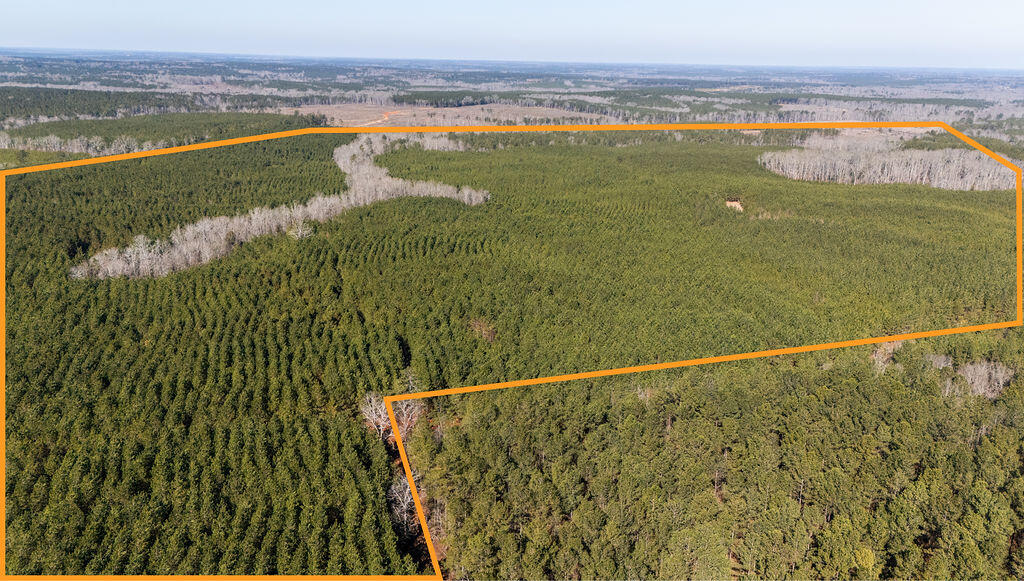 Piney Wood Pineywood Road