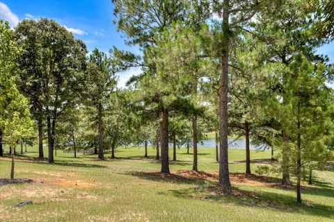 Tiny photo for 341 Chestnut Brown Court, Warrenville, SC 29851 (MLS # 212829)