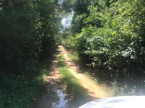 5960 Highway 3 Heights Barnwell SC 29812