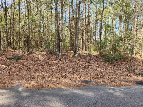 Single Family Residence in Aiken SC 0 Lloydtown Road.jpg