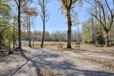 Tiny photo for 529 Cumbee Trail Road, Ridge Spring, SC 29129 (MLS # 220630)