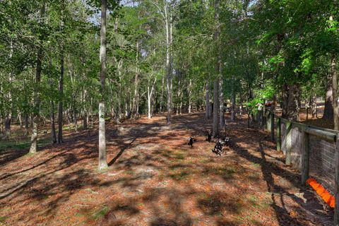 Tiny photo for 301 Chime Bell Church Road, Aiken, SC 29803 (MLS # 221294)
