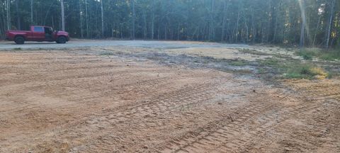 Photo of 12288 Bloomville Road, Manning, SC 29102 (MLS # 220183)