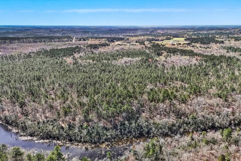 Photo of 88.58 Acre Collum Pond Road, Wagener, SC 29164 (MLS # 220313)