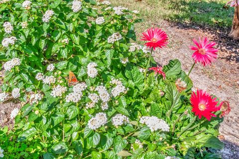 Tiny photo for 313 Live Oak Road, Aiken, SC 29803 (MLS # 208836)