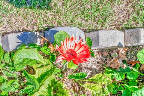 Tiny photo for 313 Live Oak Road, Aiken, SC 29803 (MLS # 208836)