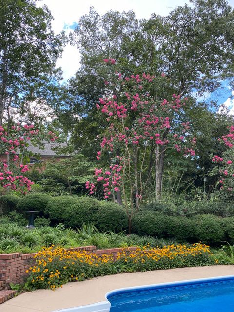 Tiny photo for 313 Live Oak Road, Aiken, SC 29803 (MLS # 208836)