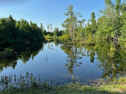 Tiny photo for 121 Atlantic Avenue, Barnwell, SC 29812 (MLS # 218308)
