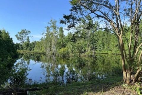 Tiny photo for 121 Atlantic Avenue, Barnwell, SC 29812 (MLS # 218308)