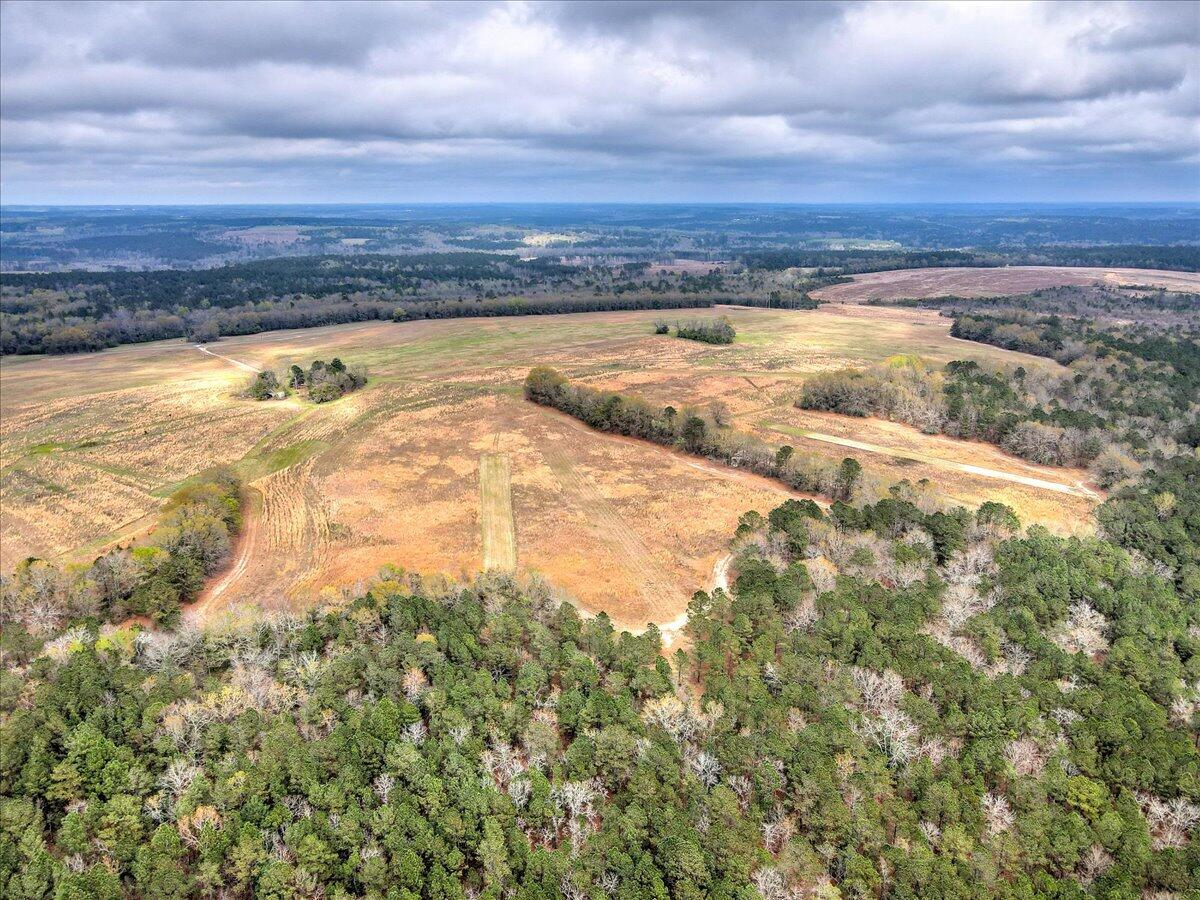 000 Mile Bridge Road