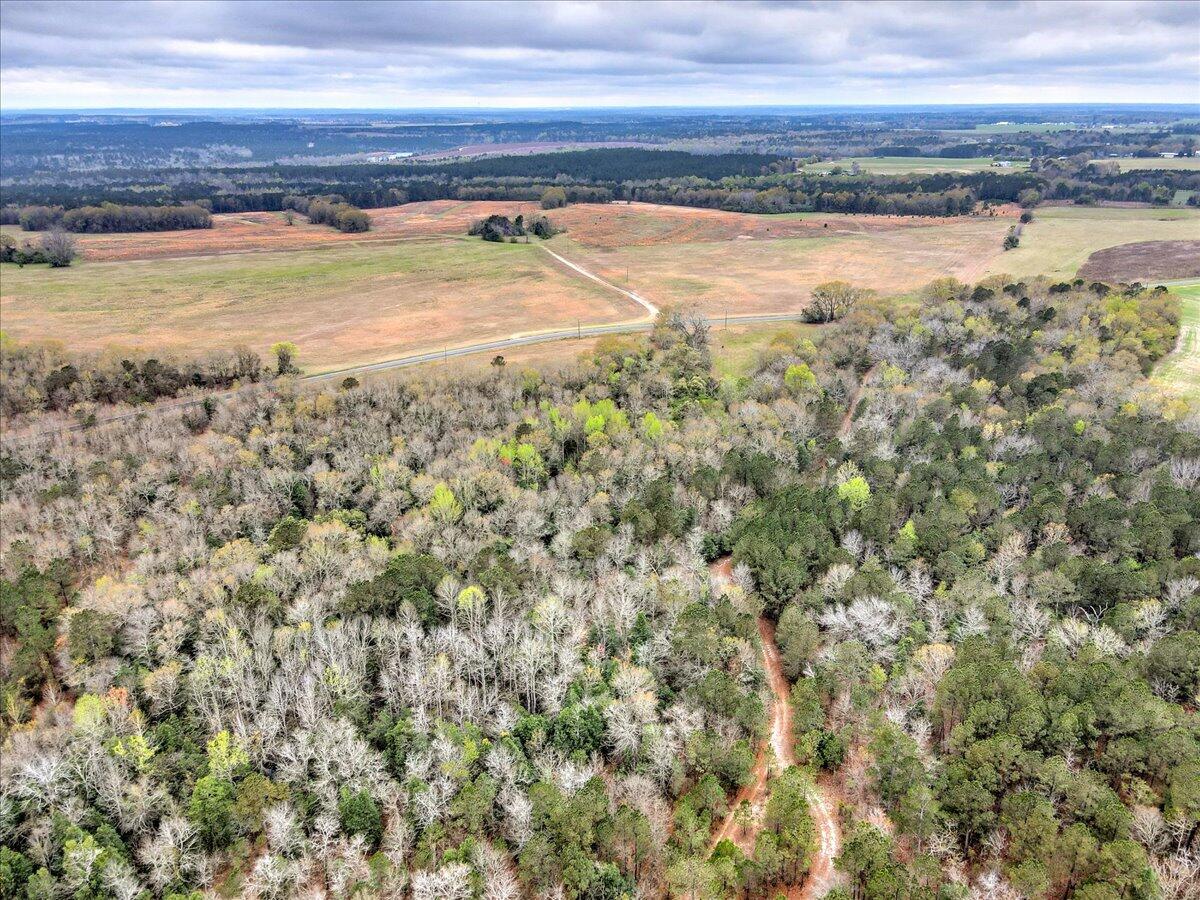000 Mile Bridge Road