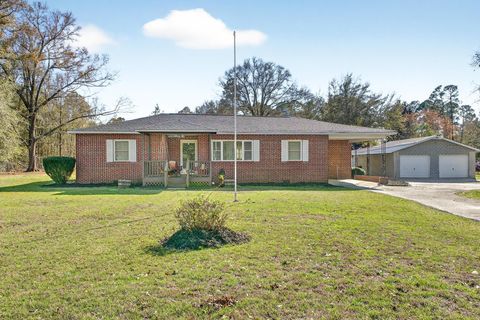 Photo of 4462 Festival Trail Road, Wagener, SC 29164 (MLS # 222290)