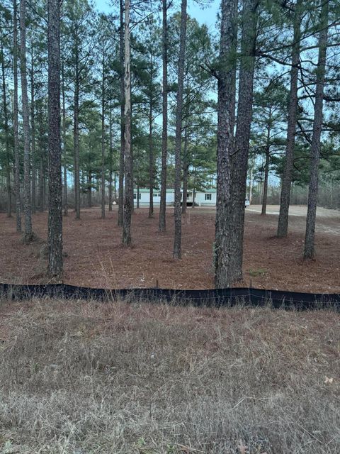 Photo of 2195 Joyner Pond Road, Aiken, SC 29803 (MLS # 222040)