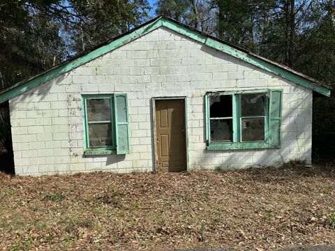 Photo of 142 Danley Avenue, Wagener, SC 29164 (MLS # 222111)