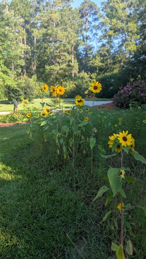 Tiny photo for 66 Waters Edge Drive, Aiken, SC 29803 (MLS # 220753)