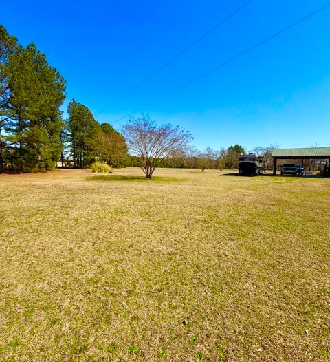 Tiny photo for 1751 Mt Calvary Road, Ridge Spring, SC 29129 (MLS # 222203)