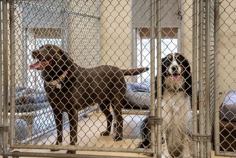 Tiny photo for 1029 Shell Bluff Drive, Aiken, SC 29803 (MLS # 220265)