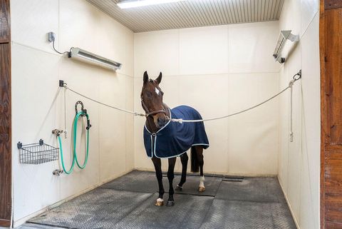 Tiny photo for 1029 Shell Bluff Drive, Aiken, SC 29803 (MLS # 220265)