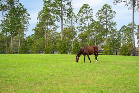 Tiny photo for 1029 Shell Bluff Drive, Aiken, SC 29803 (MLS # 220265)