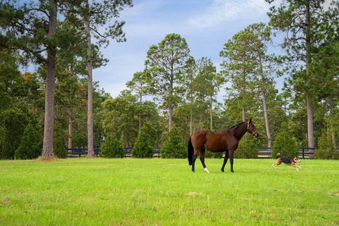 Tiny photo for 1029 Shell Bluff Drive, Aiken, SC 29803 (MLS # 220265)