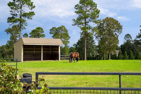 Tiny photo for 1029 Shell Bluff Drive, Aiken, SC 29803 (MLS # 220265)