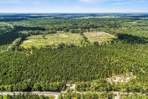 Photo of Lot 1 Old 96 Indian Trail, Wagener, SC 29164 (MLS # 220333)