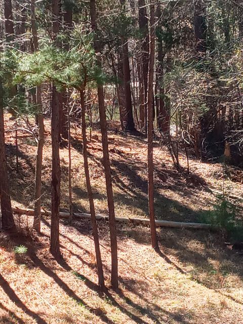 Tiny photo for 116 State Rd S-33-298, Modoc, SC 29838 (MLS # 219287)