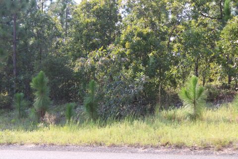 Photo of Tbd Saddlebrook Trail, Graniteville, SC 29829 (MLS # 207858)