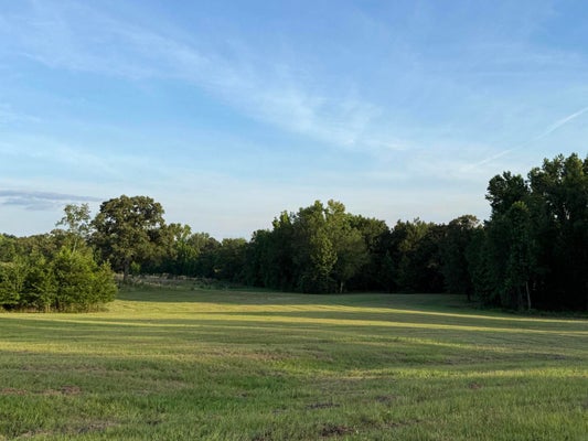 REEVES ST, AIKEN, SC 29805 - Image dfb119411421cf6a9c54b6f8aa69700d/1920687167