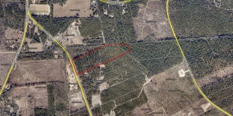 Photo of 15 Acres S Dixie Road, Wagener, SC 29164 (MLS # 223560)