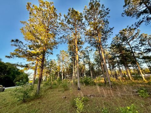 506 Nature Trail Blackville SC 29817