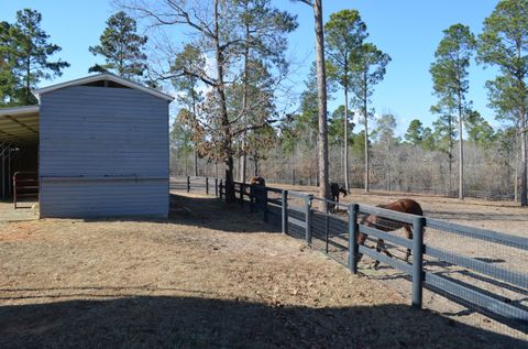 Tiny photo for 879 Marsh Tacky Run, Aiken, SC 29803 (MLS # 221021)