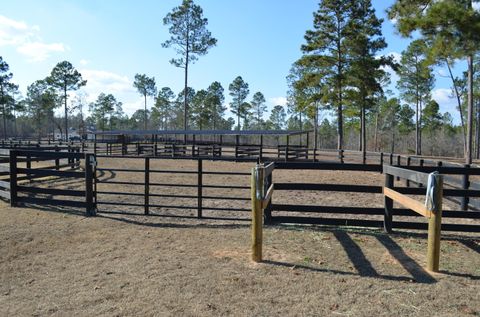 Tiny photo for 879 Marsh Tacky Run, Aiken, SC 29803 (MLS # 221021)