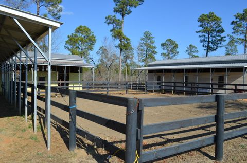 Tiny photo for 879 Marsh Tacky Run, Aiken, SC 29803 (MLS # 221021)