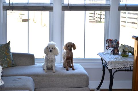 Tiny photo for 879 Marsh Tacky Run, Aiken, SC 29803 (MLS # 221021)