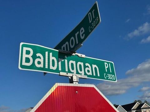 Tiny photo for 283 Balbriggan Place, Aiken, SC 29801 (MLS # 222132)