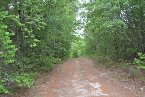 Photo of 00 Old Barnwell Road, Windsor, SC 29856 (MLS # 223448)