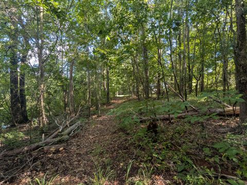 Tiny photo for 10 New Market Road, Trenton, SC 29847 (MLS # 219071)