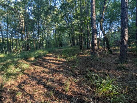 Tiny photo for 10 New Market Road, Trenton, SC 29847 (MLS # 219071)