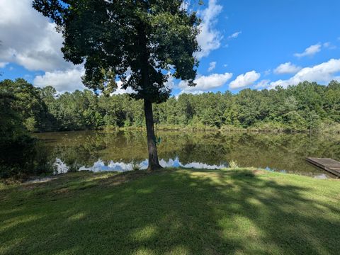 Tiny photo for 10 New Market Road, Trenton, SC 29847 (MLS # 219071)