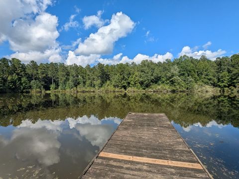 Tiny photo for 10 New Market Road, Trenton, SC 29847 (MLS # 219071)