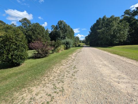 Tiny photo for 10 New Market Road, Trenton, SC 29847 (MLS # 219071)