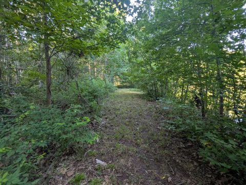 Tiny photo for 10 New Market Road, Trenton, SC 29847 (MLS # 219071)