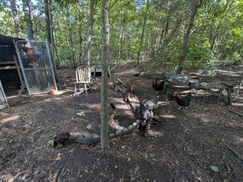 Tiny photo for 10 New Market Road, Trenton, SC 29847 (MLS # 219071)