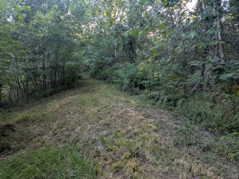 Tiny photo for 10 New Market Road, Trenton, SC 29847 (MLS # 219071)