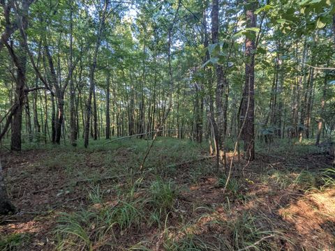 Tiny photo for 10 New Market Road, Trenton, SC 29847 (MLS # 219071)